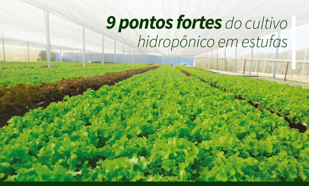 cultivo hidropônico